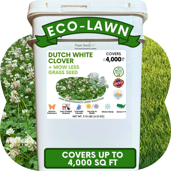 🌱 Dutch White Clover + Mow Less Grass Seed Blend