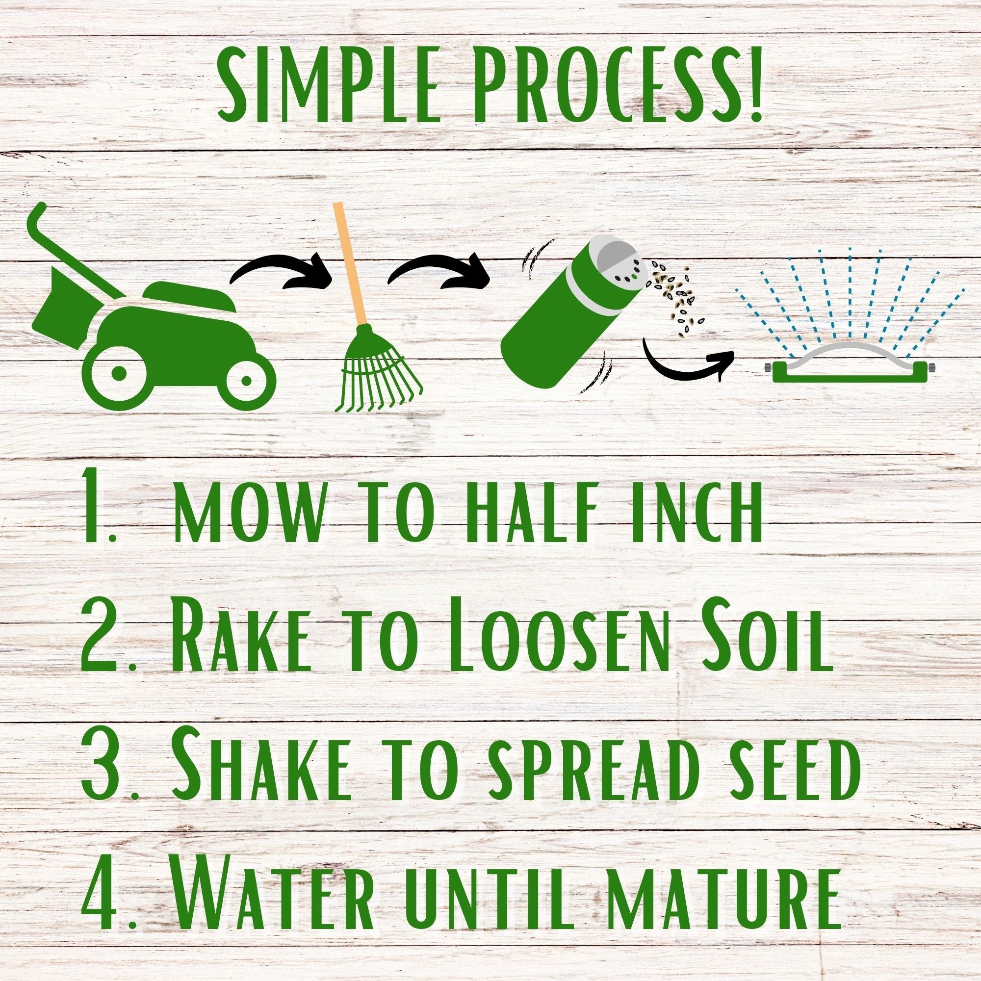 Bee Lawn Seed Kit - Easy Spread Shaker: Create Your Vibrant, Pollinator-Friendly Oasis