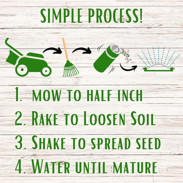 Bee Lawn Seed Kit - Easy Spread Shaker: Create Your Vibrant, Pollinator-Friendly Oasis