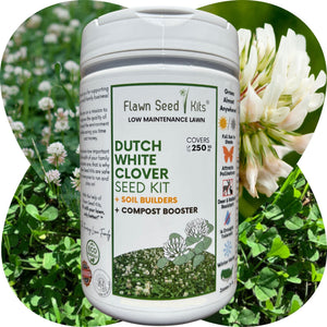 Dutch White Clover Easy Spread Shaker tube — non-GMO organic coated clover lawn seed kit by Flawn Seed Kits