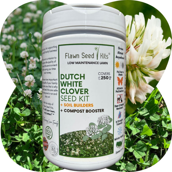 Dutch White Clover Easy Spread Shaker: Your Go-To for an Eco-Friendly, Low-Maintenance Lawn