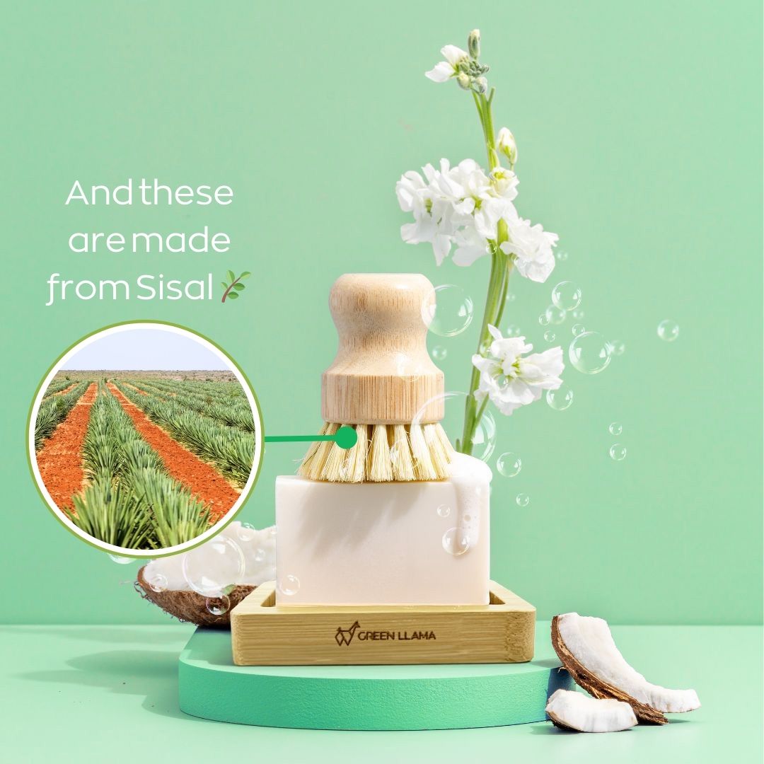 Cleaning brush set with soap and sisal fiber, featuring a green background and 'Green Llama' branding. Go plastic-free with the Eco-Friendly Dish Washing Starter Pack. Includes bamboo brush, soap dish, and natural dish soap bar for a sustainable clean.