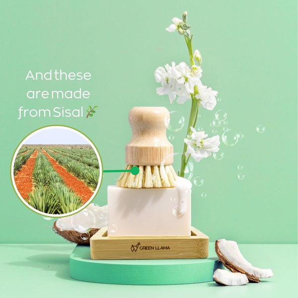 Cleaning brush set with soap and sisal fiber, featuring a green background and 'Green Llama' branding. Go plastic-free with the Eco-Friendly Dish Washing Starter Pack. Includes bamboo brush, soap dish, and natural dish soap bar for a sustainable clean.