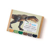 Box of eco-kids dinosaur bones beeswax crayons on a white background
