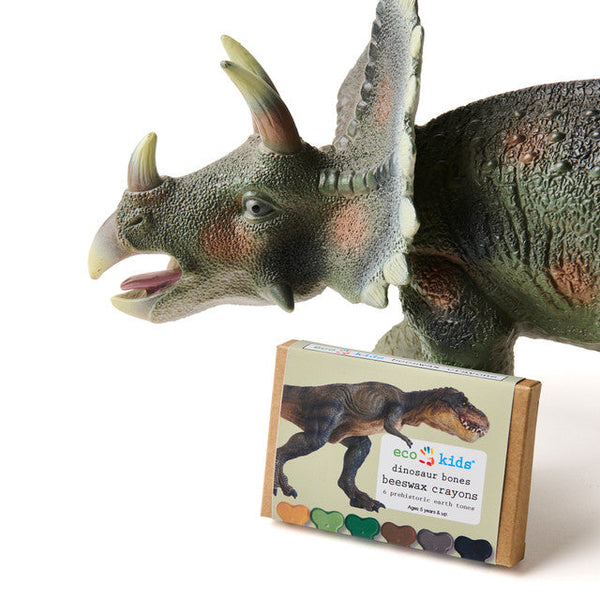 Dinosaur toy with a box of eco-kids dinosaur bones beeswax crayons on a white background