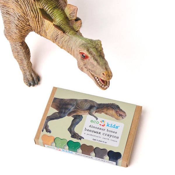 Dinosaur toy with a box of eco-kids dinosaur bones crayons on a white background