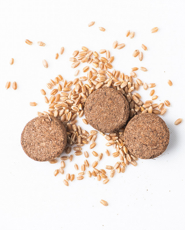 Three round brown cookies surrounded by scattered whole grains on a white background