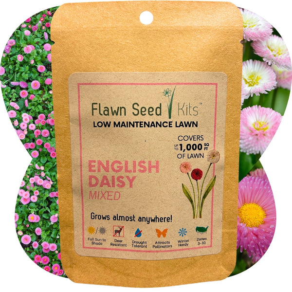 Flawn Seed Kits packaging for English Daisy mixed lawn seeds with floral background