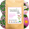 English Daisy 'Mixed' Seed Pouch