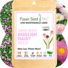 English Daisy 'Mixed' Seed Pouch