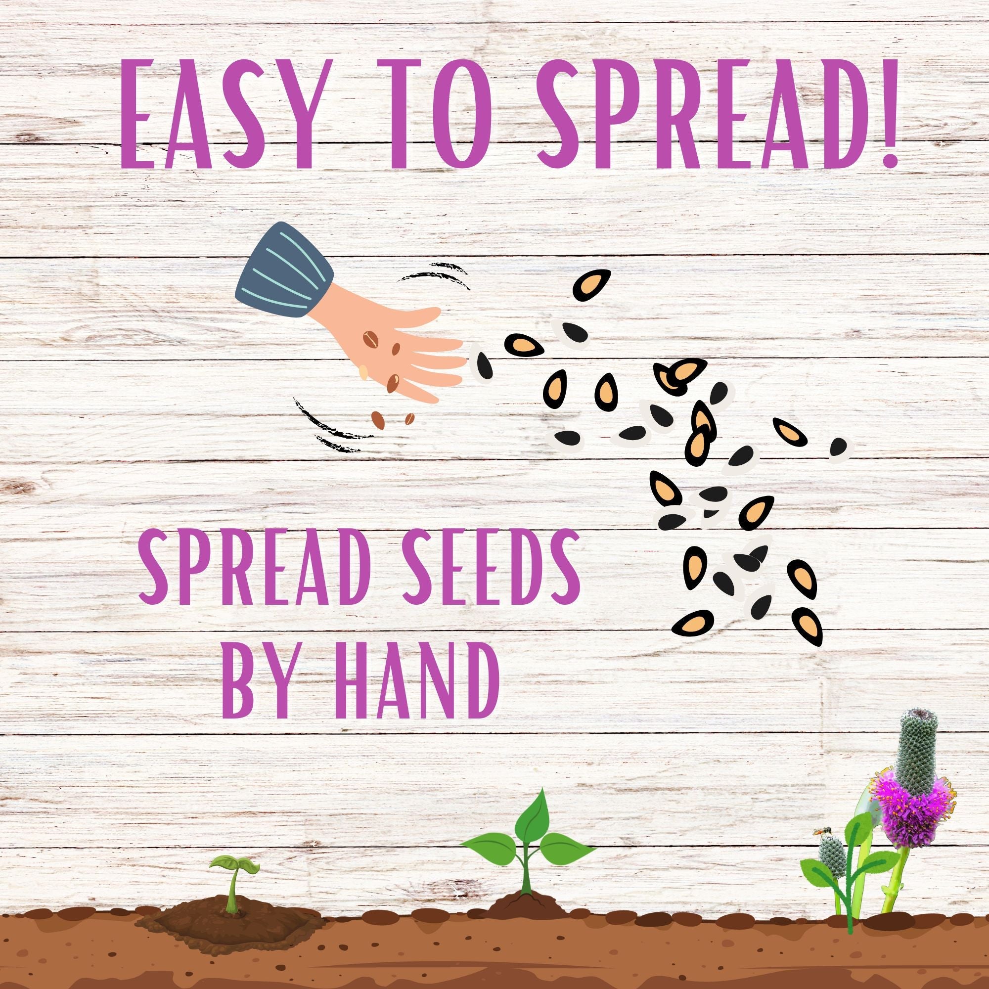 Illustration of seeds being spread by hand with text 'Easy to Spread! Spread Seeds by Hand' on a wooden background.
