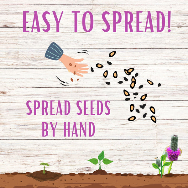 Illustration of seeds being spread by hand with text 'Easy to Spread! Spread Seeds by Hand' on a wooden background.