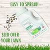 Thick Bee Lawn Seed Kit: Grow a Lush, Pollinator-Friendly Lawn