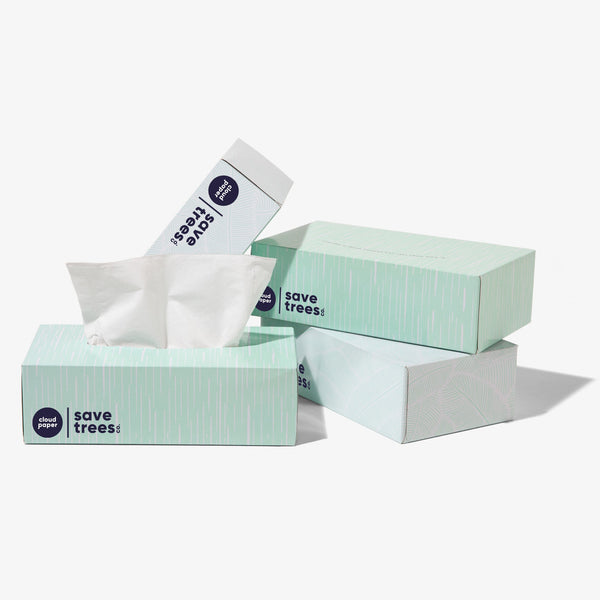 Cloud Paper Bamboo Facial Tissues: Soft, gentle, & eco-friendly! 24 boxes, 3-ply, hypoallergenic, fragrance-free, FSC-certified bamboo. Sustainable luxury for your home. Shop now!
