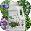 Bee Lawn Seed Kit - Easy Spread Shaker: Create Your Vibrant, Pollinator-Friendly Oasis
