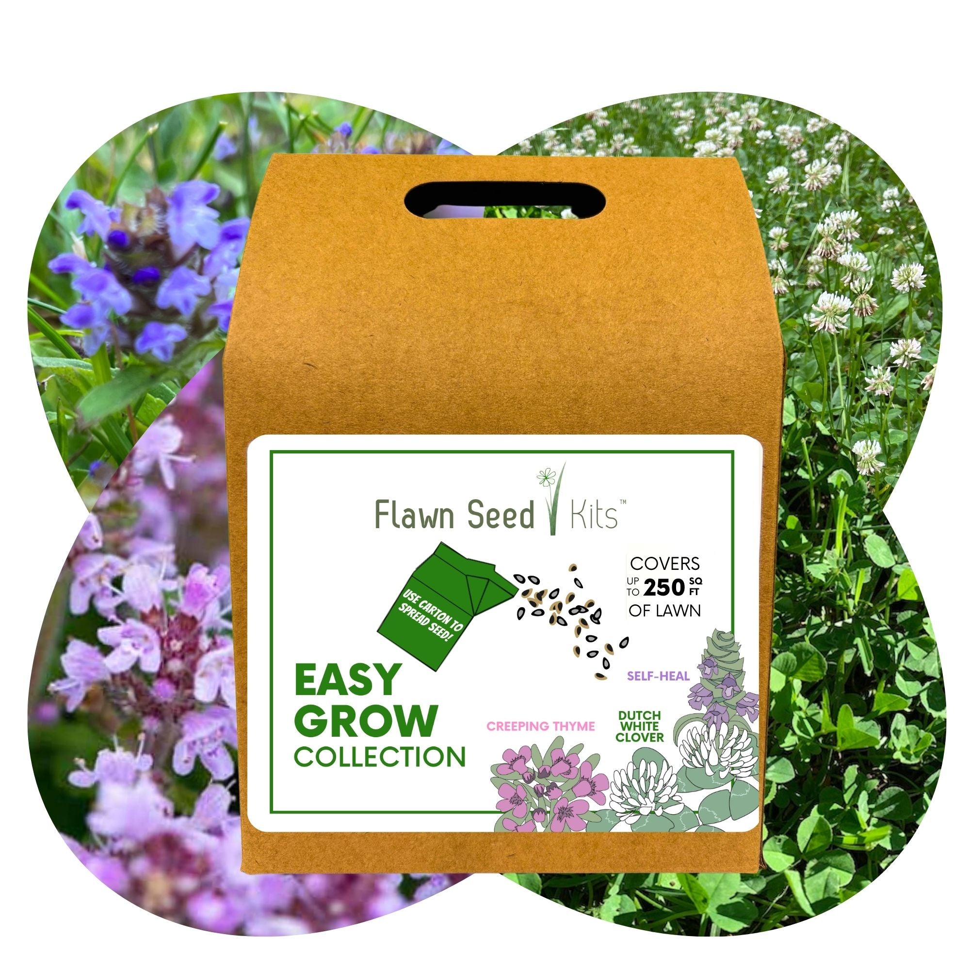 Easy Grow Dutch Clover Bee Lawn Eco-Friendly Kit