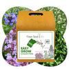 Easy Grow Dutch Clover Bee Lawn Eco-Friendly Kit