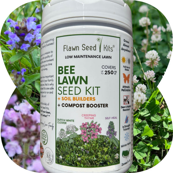 Bee Lawn Seed Kit - Easy Spread Shaker: Create Your Vibrant, Pollinator-Friendly Oasis