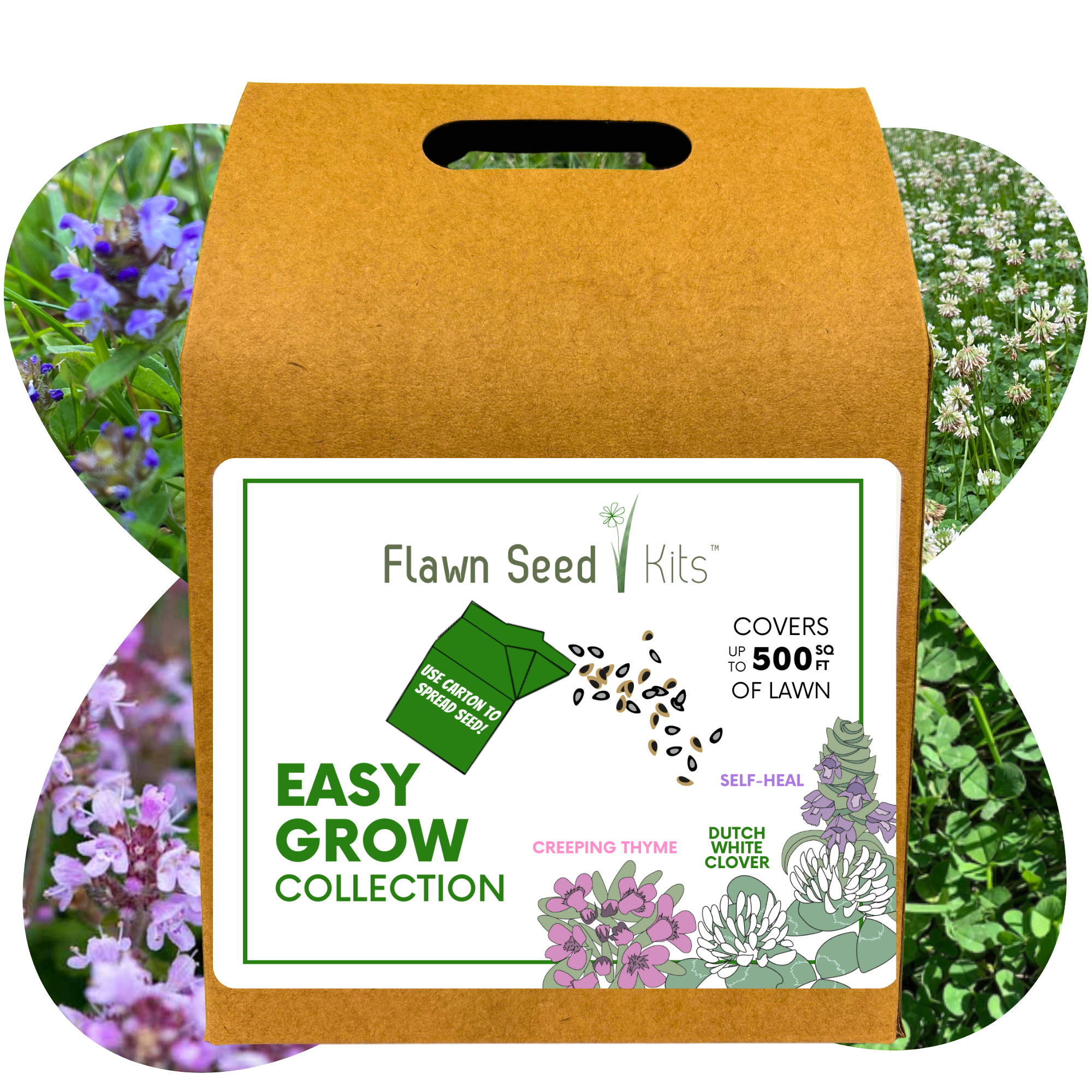 Flawn Seed Kits packaging with a label on a white background