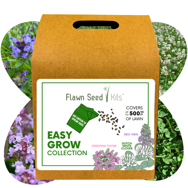 Flawn Seed Kits packaging with a label on a white background