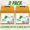 Easy Grow Dutch Clover Bee Lawn Eco-Friendly Kit