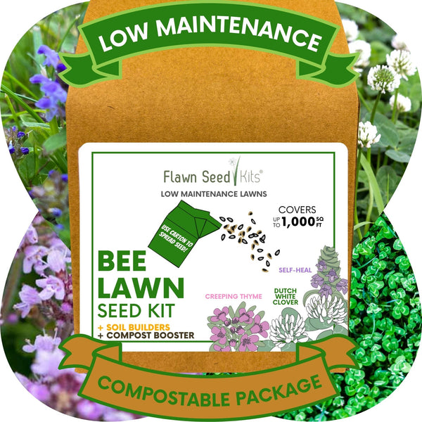 Easy Grow Dutch Clover Bee Lawn Eco-Friendly Kit