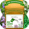 Easy Grow Dutch Clover Bee Lawn Eco-Friendly Kit