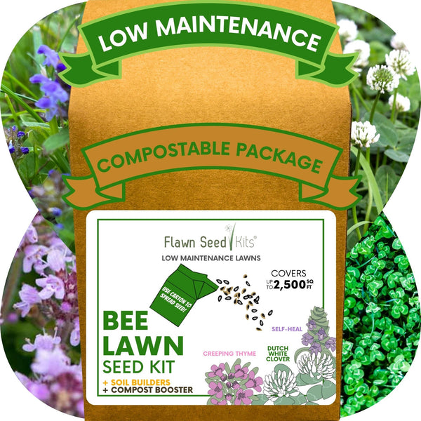 Easy Grow Dutch Clover Bee Lawn Eco-Friendly Kit