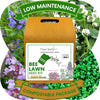 Easy Grow Dutch Clover Bee Lawn Eco-Friendly Kit