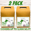 Easy Grow Dutch Clover Bee Lawn Eco-Friendly Kit