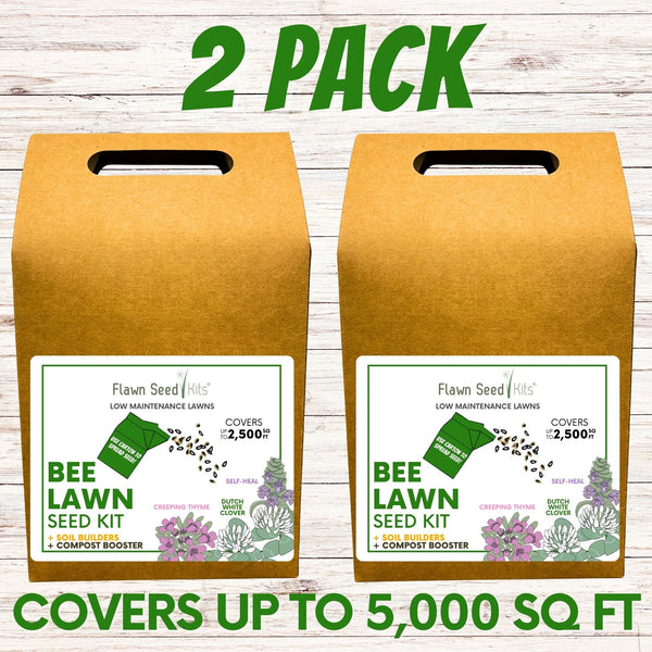 Easy Grow Dutch Clover Bee Lawn Eco-Friendly Kit