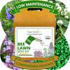 Easy Grow Dutch Clover Bee Lawn Eco-Friendly Kit