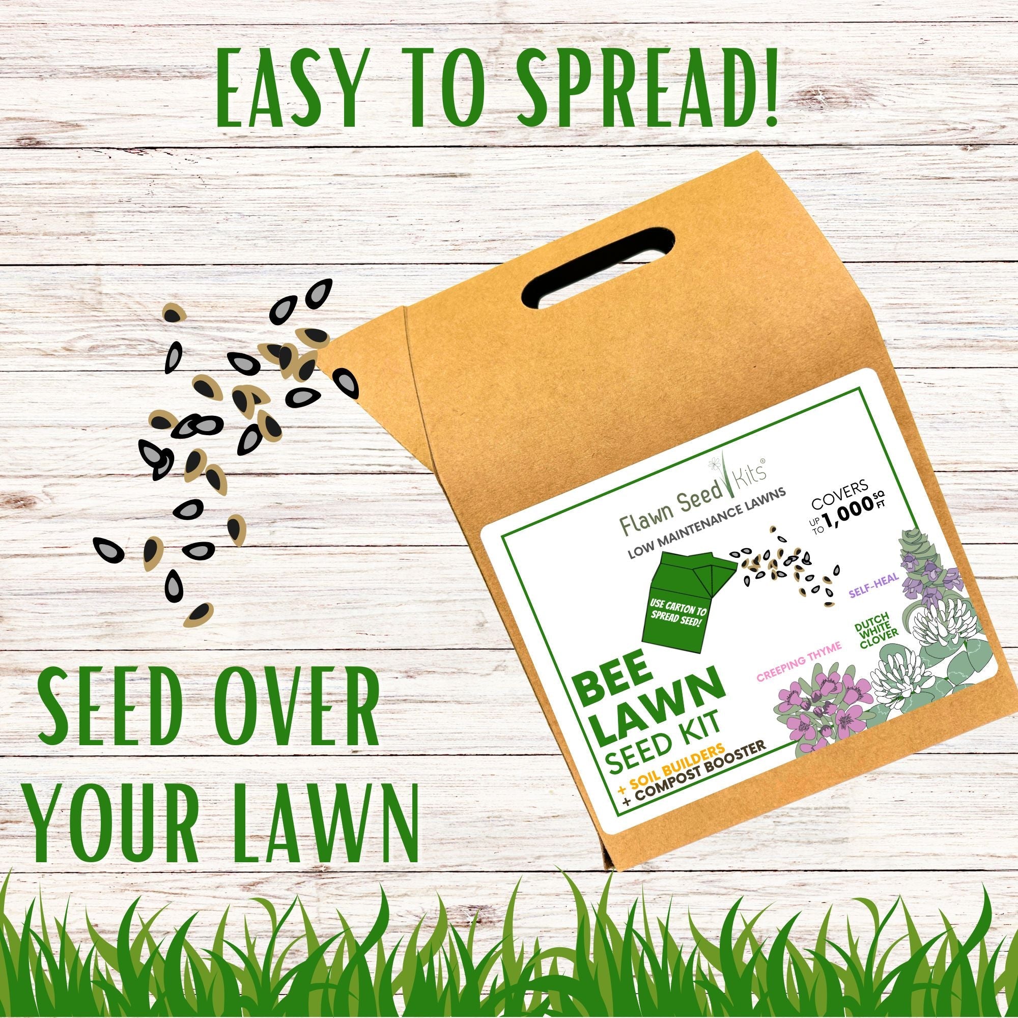 Easy Grow Dutch Clover Bee Lawn Eco-Friendly Kit