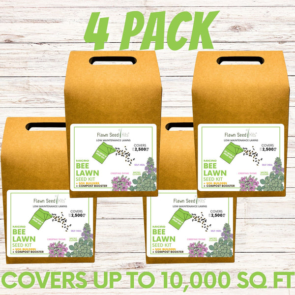 Easy Grow Micro Bee Lawn Eco-Friendly Kit