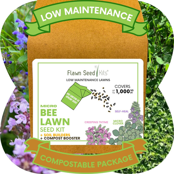 Easy Grow Micro Bee Lawn Eco-Friendly Kit