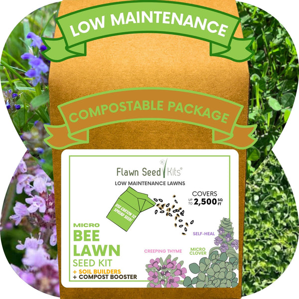 Easy Grow Micro Bee Lawn Eco-Friendly Kit