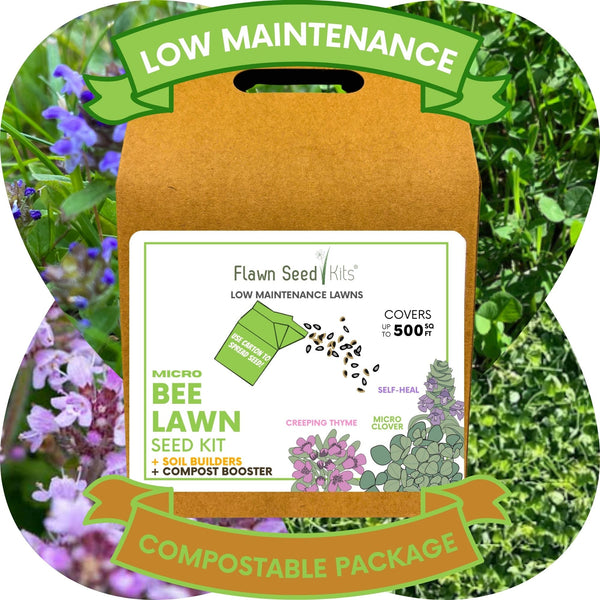 Easy Grow Micro Bee Lawn Eco-Friendly Kit