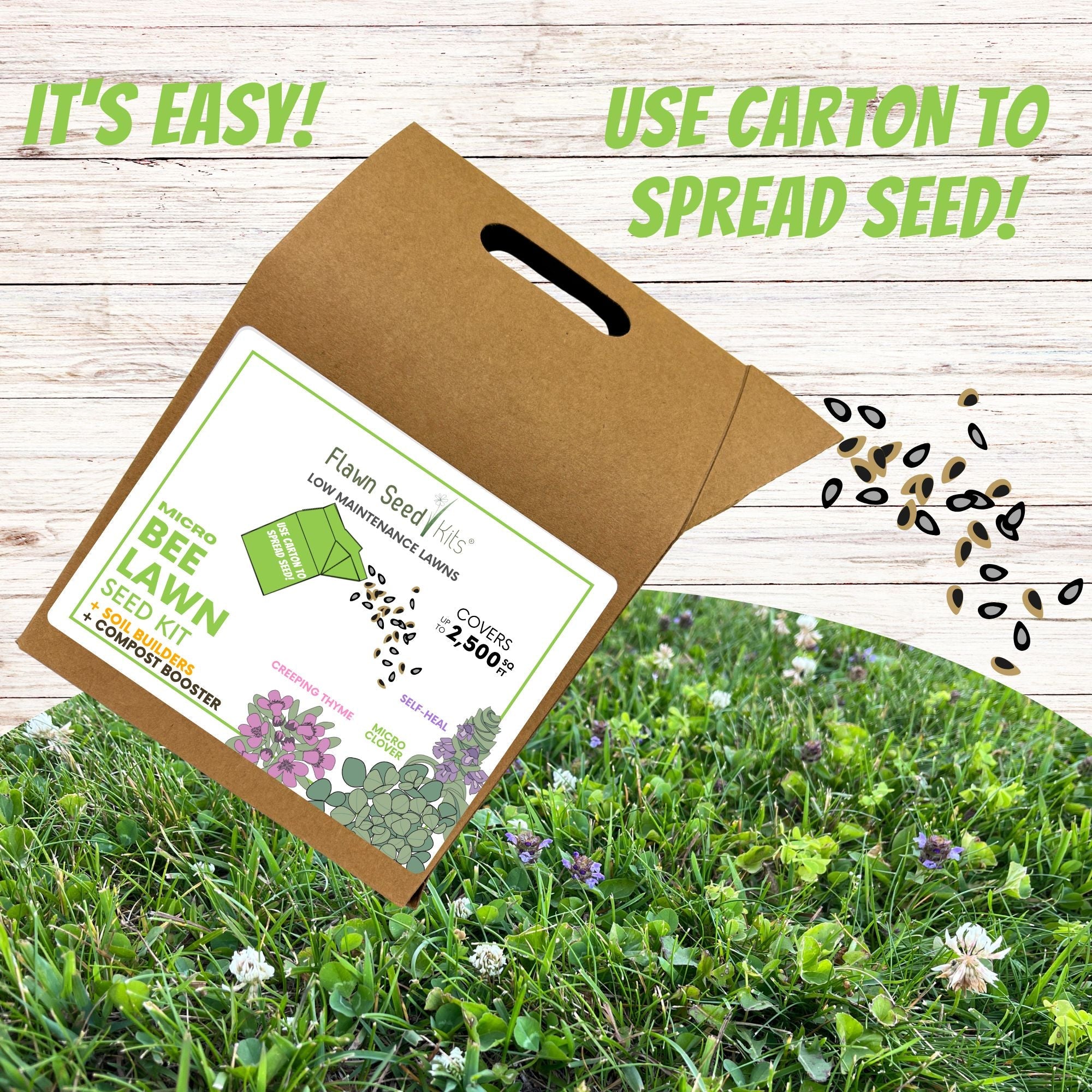 Easy Grow Micro Bee Lawn Eco-Friendly Kit