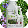 Micro Bee Lawn Seed Mixture - Easy Spread Shaker: Your Low-Sting, Eco-Friendly Oasis