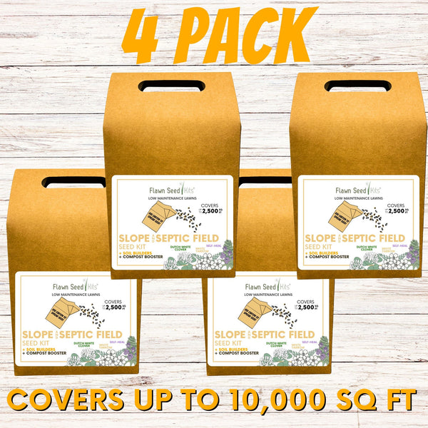 Slope and Septic System Seed Kit