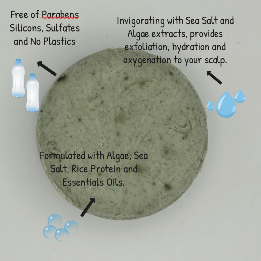 Shampoo Bar for normal & Oily Hair: Cleanse, Hydrate, and Protect Your Hair