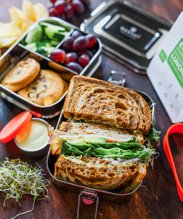 Lunchbox with a sandwich, cookies, fruits, and a container of hummus on a wooden surface.
