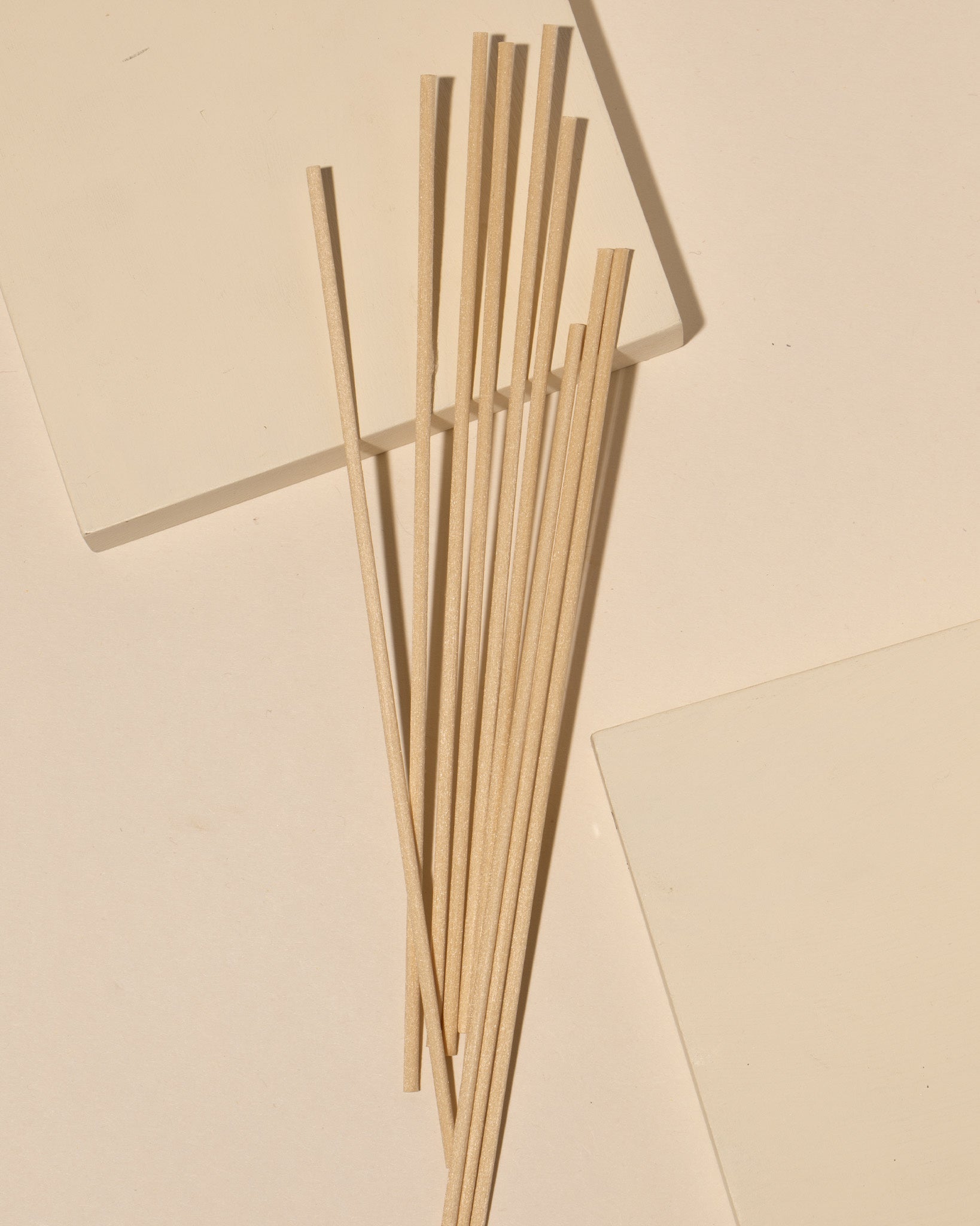 Hand holding fiber diffuser reeds next to a glass diffuser vessel showing reed texture detail