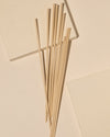 Hand holding fiber diffuser reeds next to a glass diffuser vessel showing reed texture detail