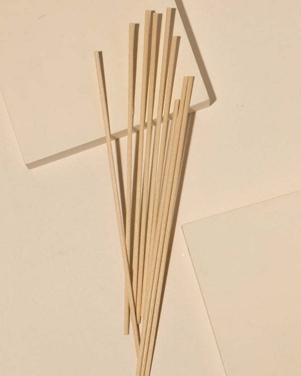 Hand holding fiber diffuser reeds next to a glass diffuser vessel showing reed texture detail