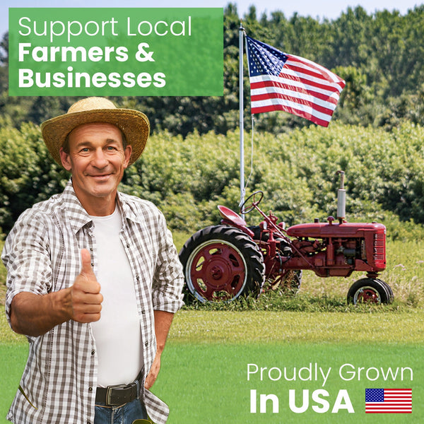 Buckwheat Hulls -Craft, Pillow, Cushion Fill - Organically grown in USA