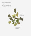 Dried guayusa leaves on a white background with text describing its properties.