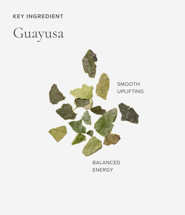 Dried guayusa leaves on a white background with text describing its properties.