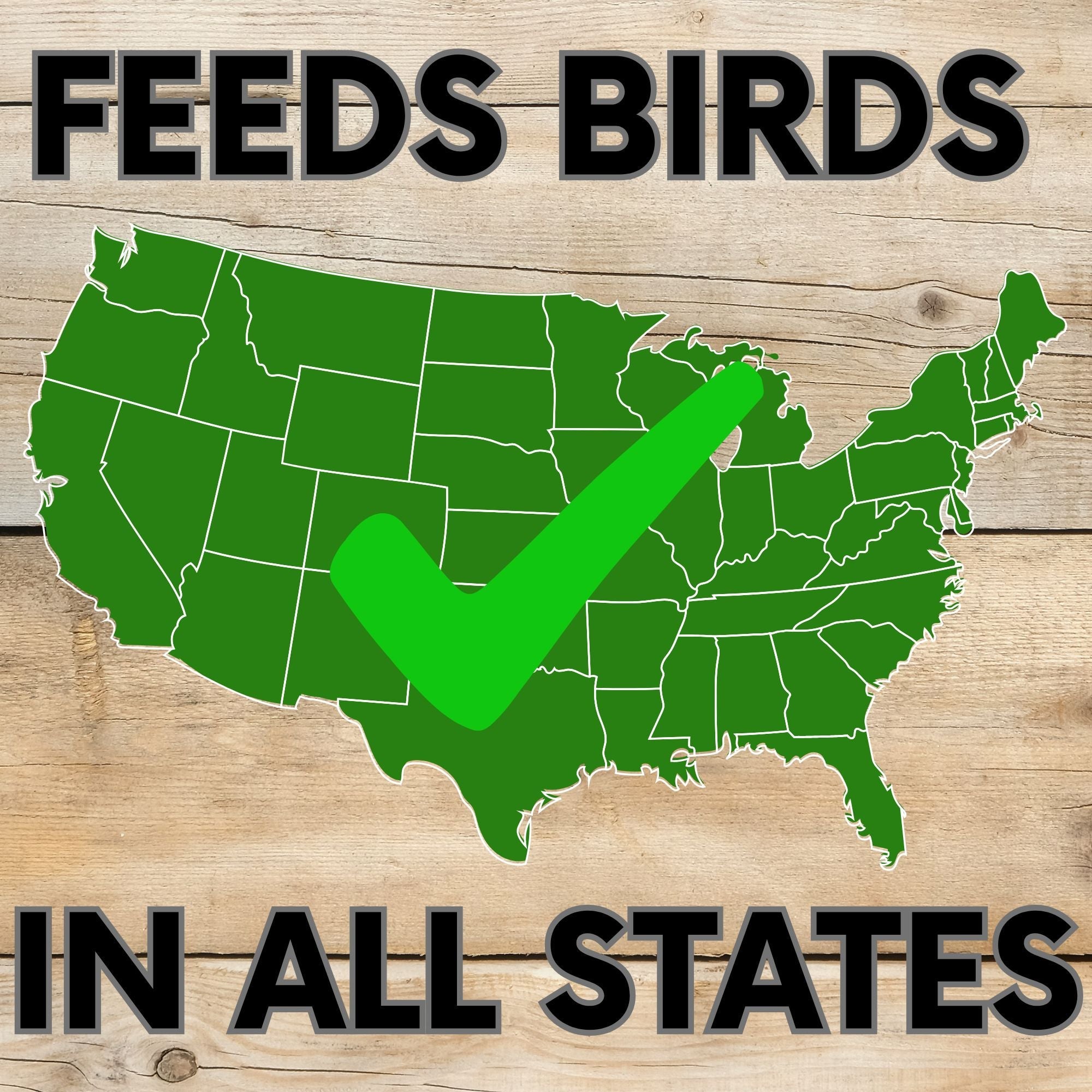 Pollinator & Wild Bird Seed Meadow Mix