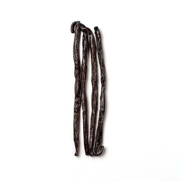 Three vanilla beans on a white background